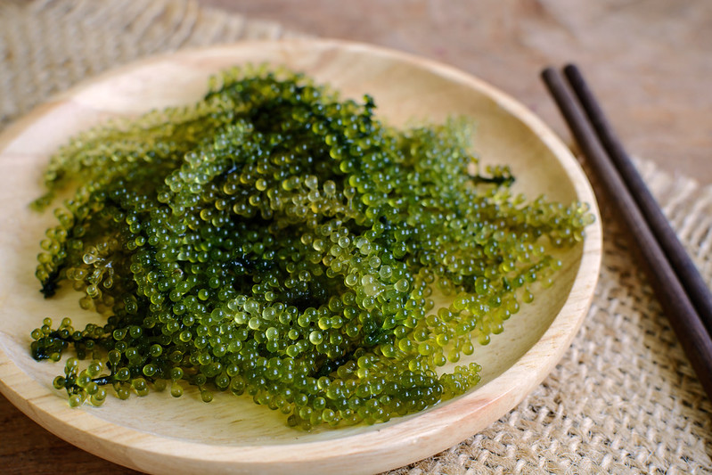 Sea grapes