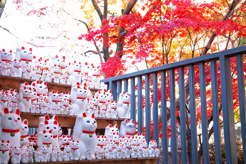 Gotokuji temple's lucky cats