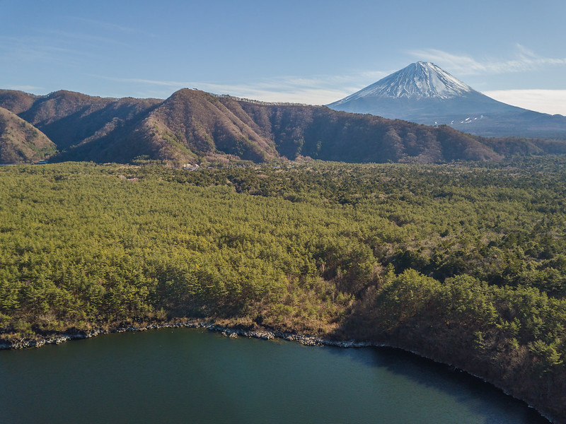 Aokigahara Jukai