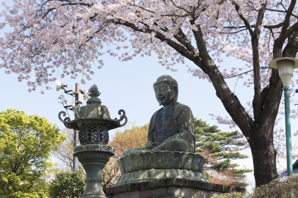 Statue at Gokokuji