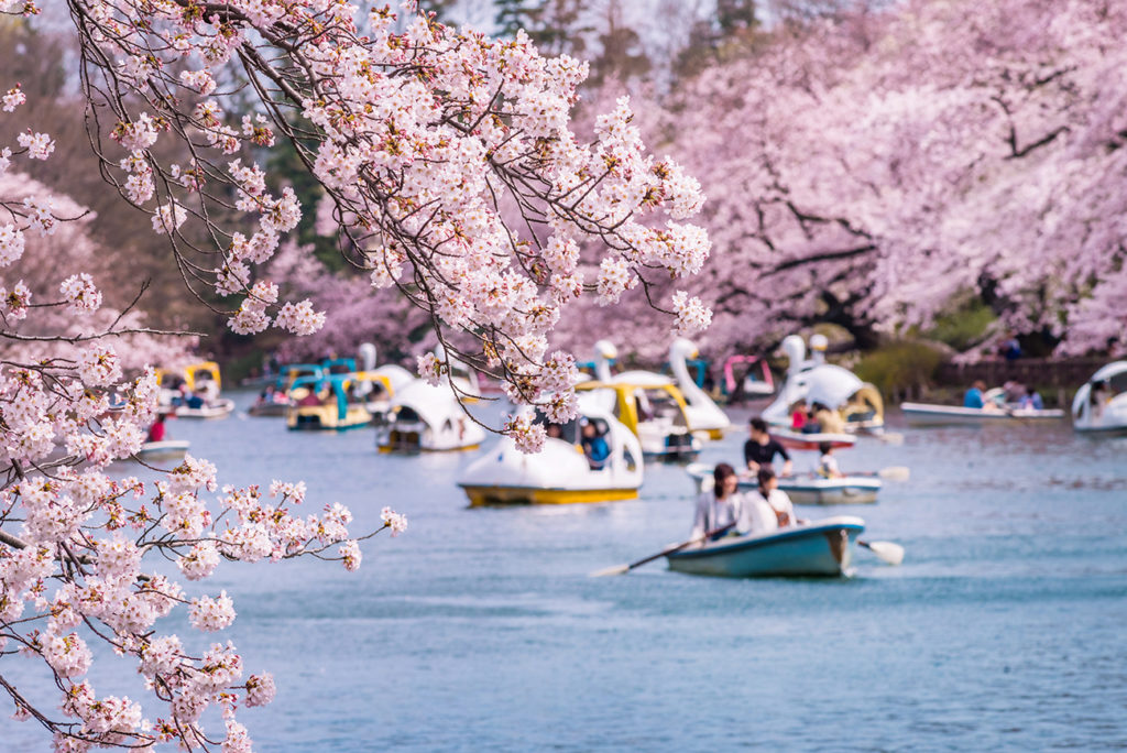 Inokashira Park