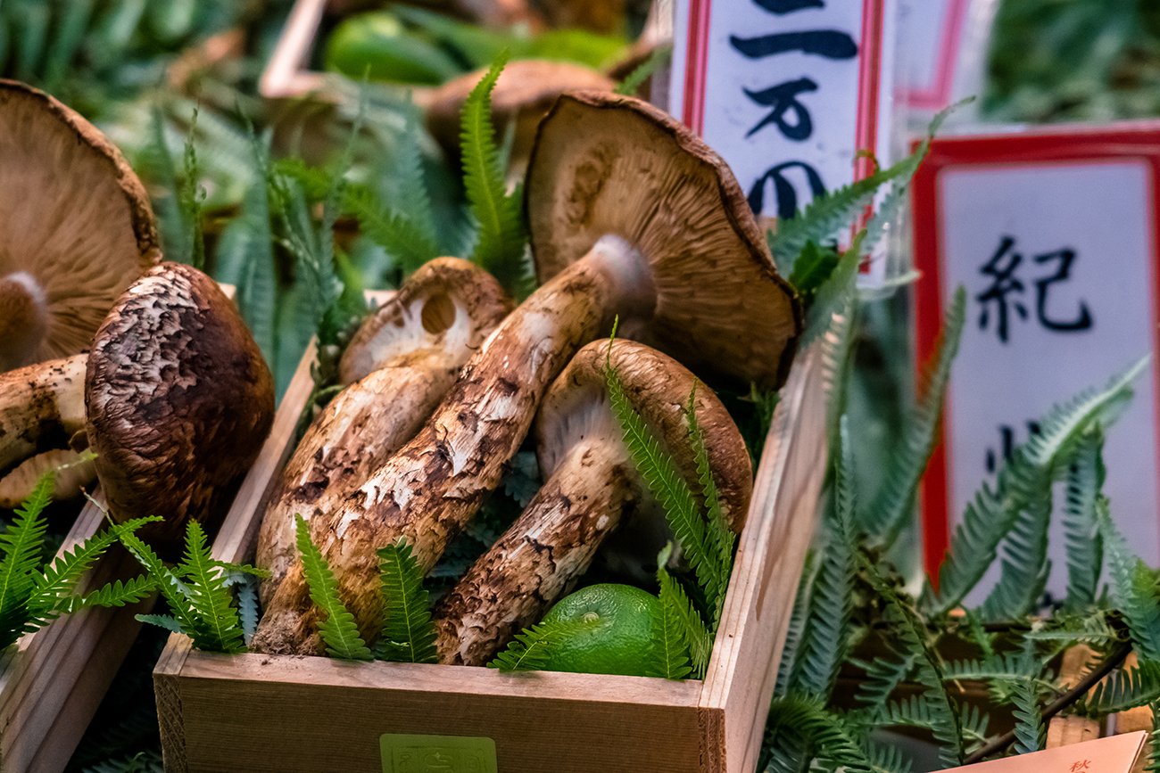 Matsutake mushrooms