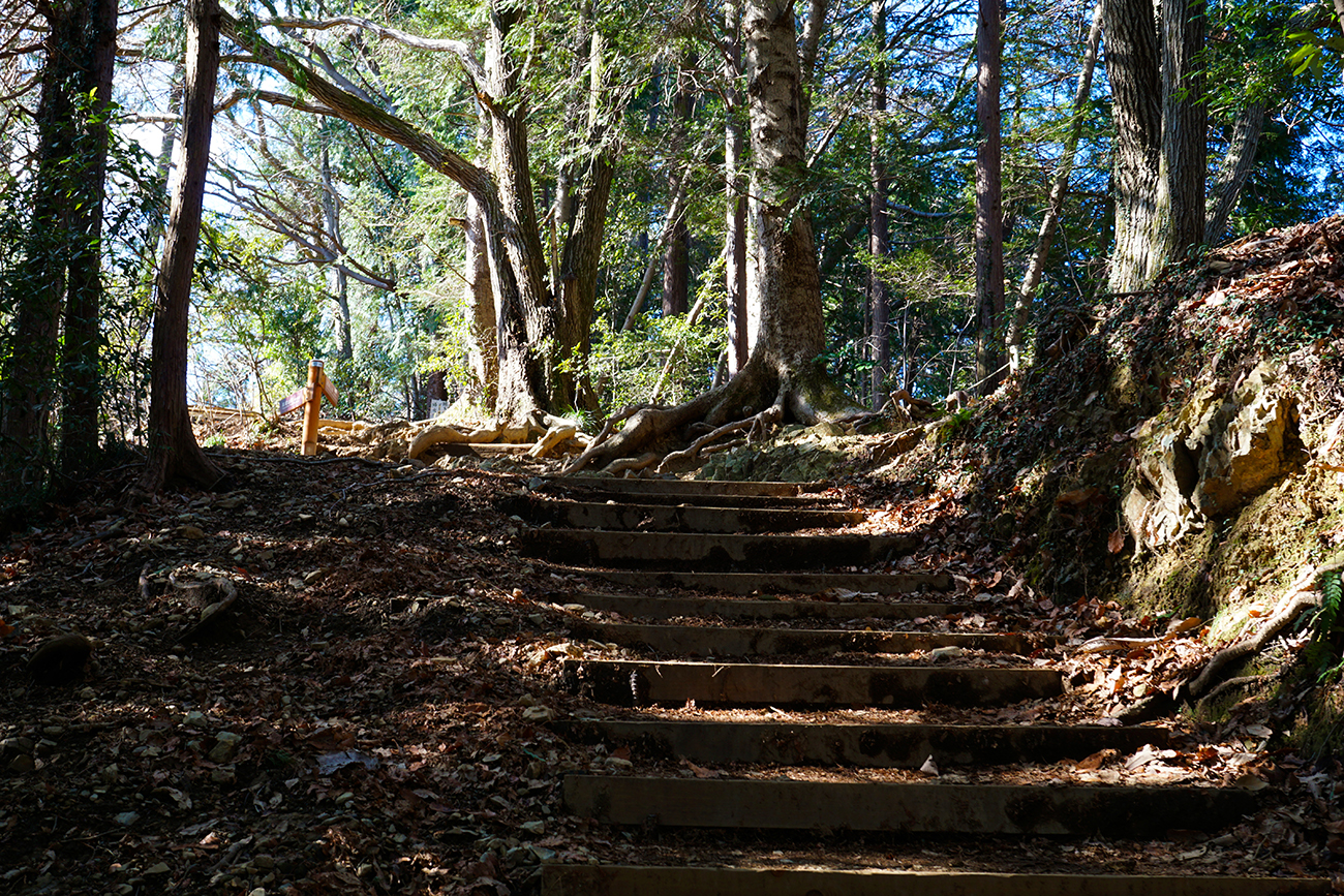 Mount Takao trail